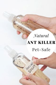 two hands holding an empty pet - safe bottle with the words natural ant killer on it