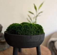 a potted plant sitting on top of a wooden table