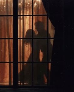 the shadow of two people standing in front of a window, with curtains behind them