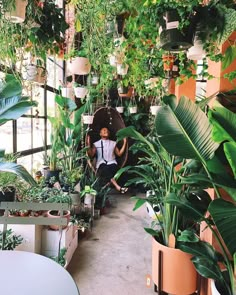 a person sitting in a room with lots of potted plants on either side of them