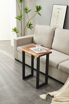 a living room with a couch, coffee table and potted plant