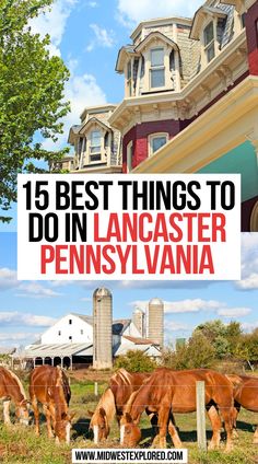 15 Best Things To Do In Lancaster, Pennsylvania Lancaster City Pennsylvania, What To Do In Lancaster Pa, What To Do In Pennsylvania, Pa Day Trips, Places To Visit In Pennsylvania, Dutch Wonderland Lancaster Pa, Lancaster Pennsylvania Things To Do In, Things To Do In Lancaster Pa