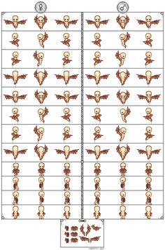 an image of different types of skulls and their names in the form of letters with numbers on