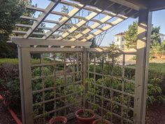 two potted plants are sitting in front of an open trellis on the ground