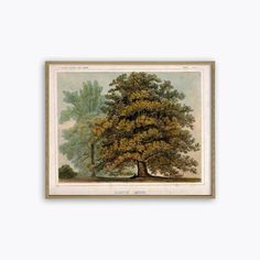 a painting of a large tree with yellow leaves