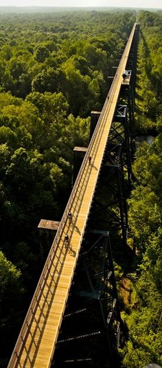 an aerial view of a bridge in the middle of trees