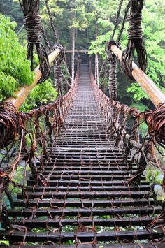 an image of a bridge that is going over the water with ropes on it and trees in the background