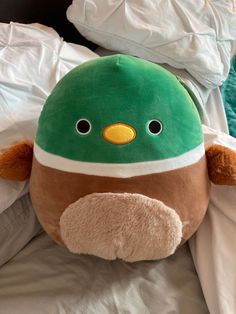 Cute squishmallow mallard duck, avery the mallard duck, rare squishmallow, squishmallow affordable Cute Squishies, Kitty Plush, A Safe Place, Kawaii Plushies, Mallard Duck, Hello Kitty Plush, Cute Pillows, Birthday Wishlist