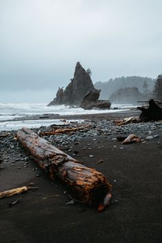 a log laying on top of a beach next to the ocean