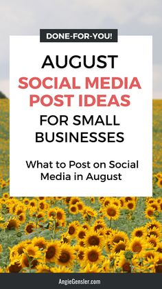 sunflowers with the words, august social media post ideas for small businesses what to post on social media in august