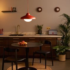 a kitchen area with a table, chairs and potted plants on the counter top