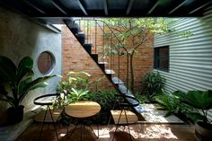 an outdoor area with plants and stairs