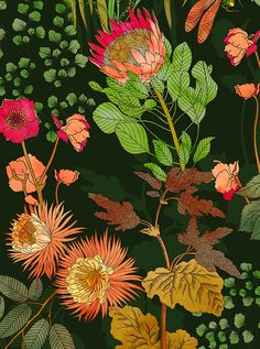 a bunch of flowers that are on a black background with green leaves and other plants