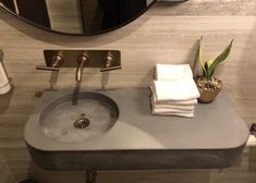 a bathroom sink sitting under a mirror next to a potted succulent plant