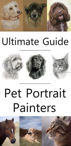 the ultimate guide to pet portrait painters for dogs, cats, and other animals in one book