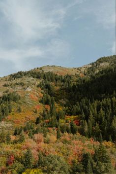 the trees are changing colors in the mountains