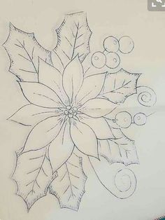 a drawing of a poinsetti with leaves and berries