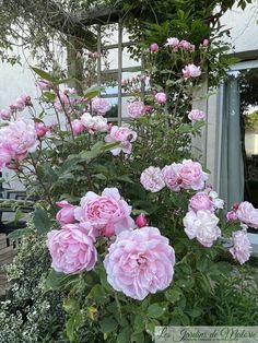 pink flowers are blooming in front of a building