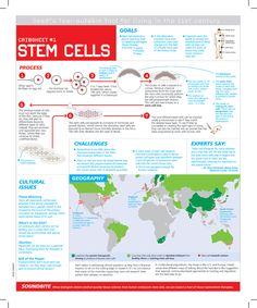 #StemCells #StemCell #StemCellTherapy #StemCellResearch #Science #Medicine #CordBlood #CordBloodBank #CordBloodBanks #CordBloodBanking #CordBloodBankNearMe #UmbilicalCord Cells Worksheet, Plant Cells, Science Clipart, Cells Project, Science Classroom Decorations, Biology Facts, Teaching Biology