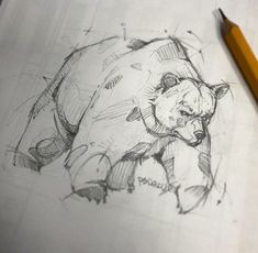 a pencil drawing of a bear on top of a piece of paper next to a yellow pencil