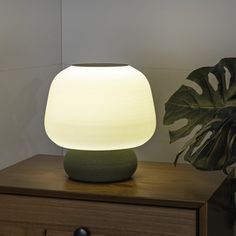 a table lamp sitting on top of a wooden dresser next to a potted plant