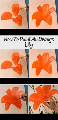 how to paint an orange lily