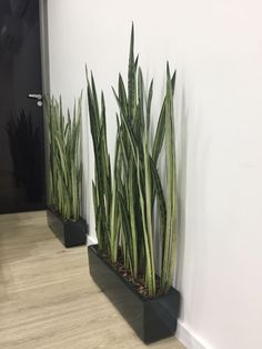 two black planters with green plants in them on the side of a white wall