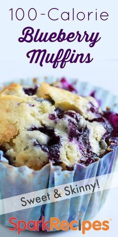 Low Fat Blueberry Muffins, Blueberry Muffins Recipe, 100 Calorie Snacks, 100 Calorie, Healthy Muffin Recipes, Muffin Recipes Blueberry, Carb Foods, Low Calorie Desserts