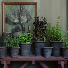 many potted plants sit on a shelf in front of a painting