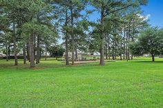 a park with lots of green grass and trees