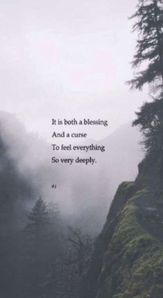 a quote on the side of a mountain with trees and fog in the background that reads, it is both a blessing and a curse to feed everything so very deeply