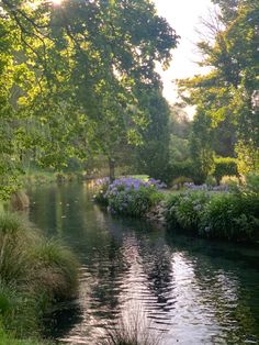 a river running through a lush green forest filled with lots of trees and flowers next to tall grass