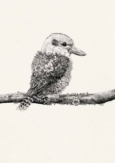 a black and white drawing of a bird sitting on a branch with flowers in its beak