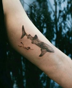 a shark tattoo on the left arm