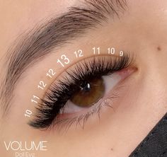 Mapping Hybrid Lashes, Simple Volume Lashes, Short Lash Extensions Styles, Lash Mapping For Small Eyes, Eyelash Extensions Styles For Small Eyes, Short Eyelash Extensions Mapping, Short Full Lash Extensions Map, Short Wispy Lash Extensions Mapping, Kitten Eyelash Extensions Mapping