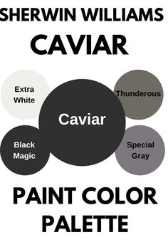 the color scheme for sherylin williams's caviar is shown in black and