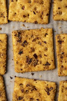 several squares of food sitting on top of a piece of parchment paper with raisins