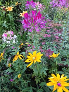 many different colored flowers in a garden