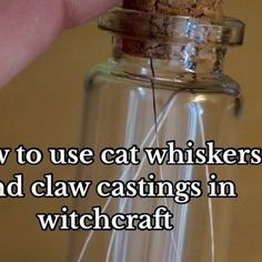 Ali🔮 on Instagram: "Drop your 🐱’s name and how they help you in your spiritual routine!🐈‍⬛ Some additional uses: Whiskers are considered good luck and can be carried for luck or used in abundance spells. You can also use them in a protection jar for your cat if they’re indoor/outdoor or in binding spells to bring you closer Castings can be used to ‘dig your claws’ into someone in love or baneful magick. They can also help in transformation workings or to assist in letting something go Baby teeth of cats can be used for wisdom, truth seeking, intuition enhancement and protection. . . . . . . . . . #greenwitchmystics #cats #catlover #witchtips #witchesofinstagram #witchcraft #pagan #folkmagick #banefulmagick #greenwitch" Cats Claw Spiritual, How To Be A Cat, Abundance Spells, Sea Witchery