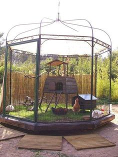 a caged in chicken coop with chickens on the grass and other animals around it