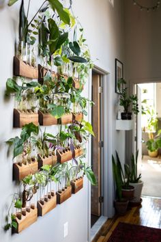 a wall hanging planter filled with lots of plants