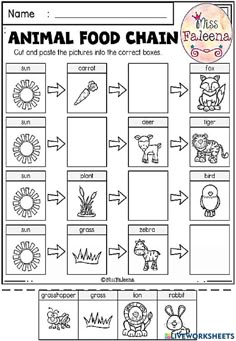 an animal food chain worksheet for kids to learn how to draw and color