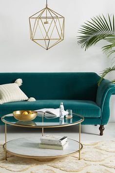 a living room with a teal couch, coffee table and potted plant in the corner