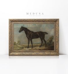 a painting of a black horse in a frame on a white wall with the words medusa above it