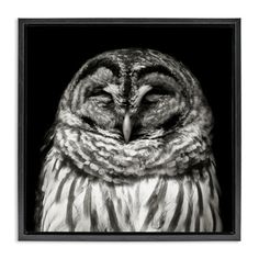 black and white photograph of an owl with its eyes closed in front of a dark background