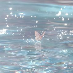 a pink butterfly flying over water with bubbles on the surface and blue sky in the background