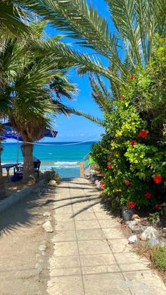 the path to the beach is lined with palm trees and red flowers on either side