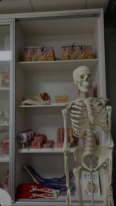 a skeleton sitting in front of a book shelf