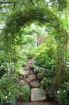 a garden with lots of plants and flowers