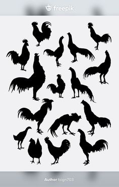 silhouettes of roosters and hens in various poses on a white background illustration